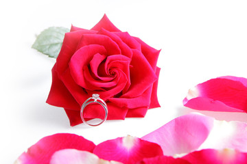 Wedding Ring in Rose