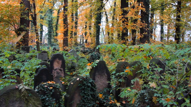 Jewish Cemetery at autumn, Krakow, Poland