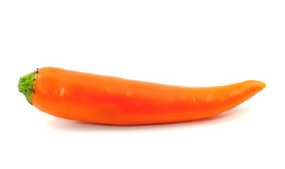 orange pepper on white background