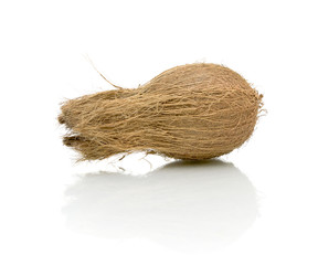 coconut on a white background