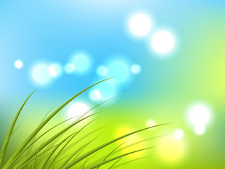 Obraz premium Spring background