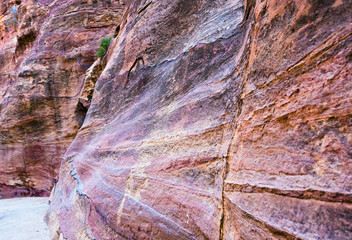 multicoloured sandstone walls of gorge Siq in Petra,