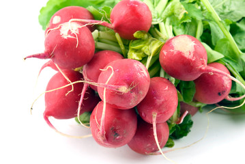 fresh radishes