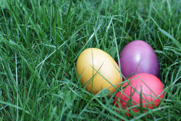 Ostereier im Gras