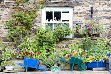 house with plants in Blanchland, Northumberland, England