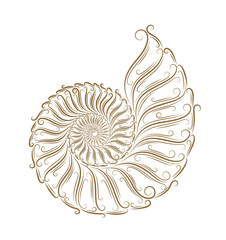 Sketch of seashells - 40497852