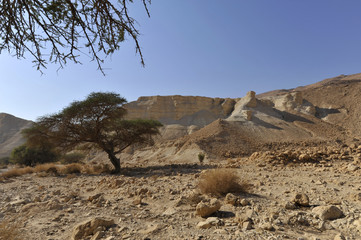 Judea desert landscape.