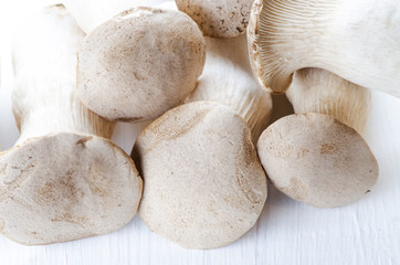 Mushrooms