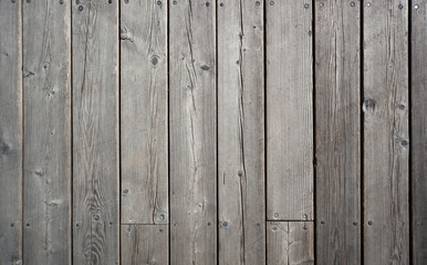 Old wood texture