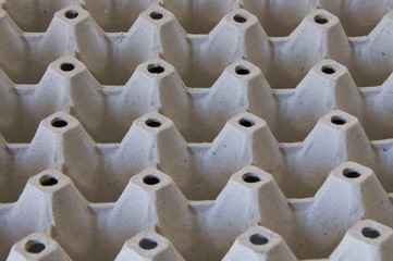 Empty Egg carton tray