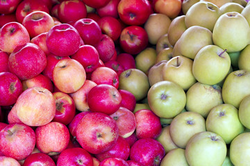 bunch of red and green apples closeup