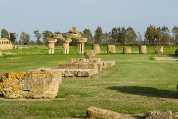 Antica Grecia , area archeologica Metaponto , Italia © Fabio Lemma