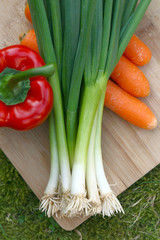 Organic vegetables on a board