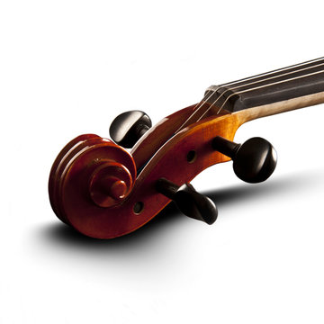 Violine white backround with shadow