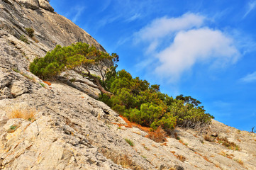 Rocky slope