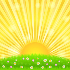 Sunburst and green meadow with flowers