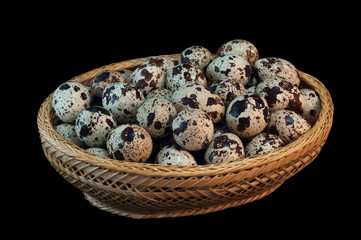 Fototapeta premium quail eggs close up