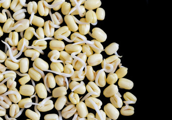 Mung beans