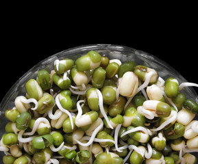 Mung beans