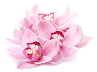 Stickers pour porte Orchidée fleurs d& 39 orchidées roses isolées