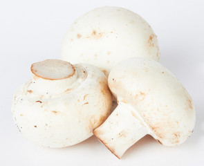 mushroom
