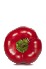 Paprika rot, Frontansicht
