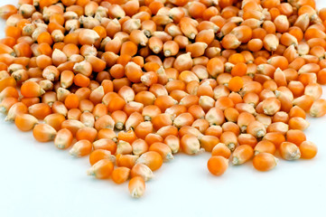 Raw corn