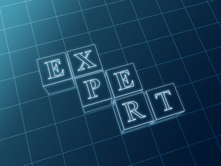 expert blueprint