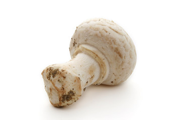 Champignon