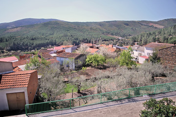 Sauceda en primavera © José Luis Sánchez Ma