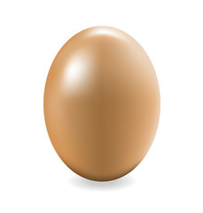 vector egg