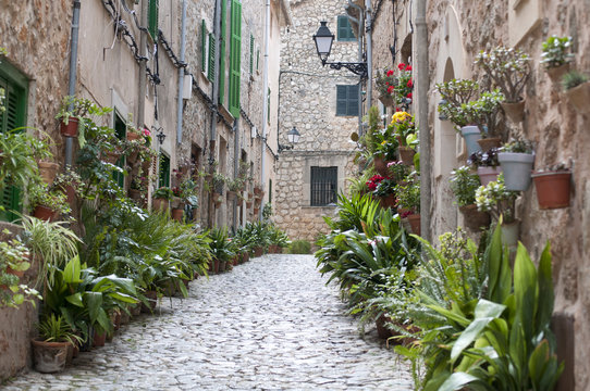 callej&oacute;n rural con macetas