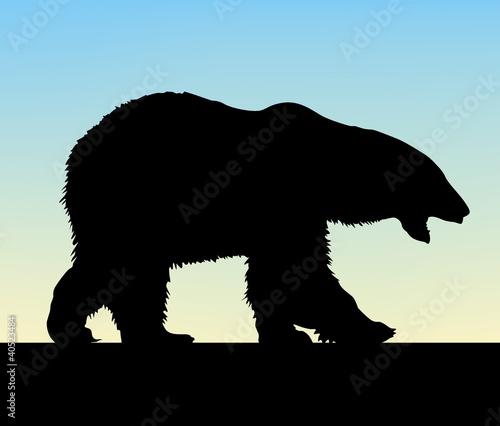 "polar bear vector" Stock image and royalty-free vector files on