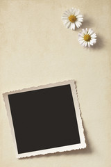 Daisies and old photo on vintage background