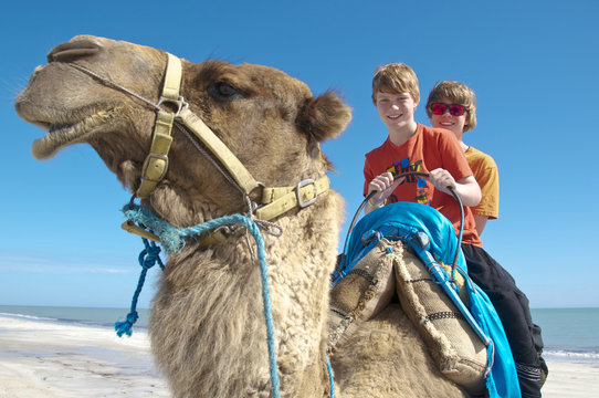 Zwei Teenager auf einem Kamel