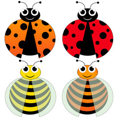 ladybug and bee