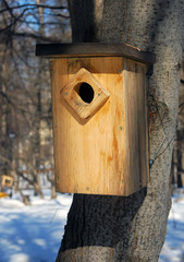 Wooden birds feeder in winter forest