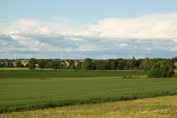 Swedish Landscape