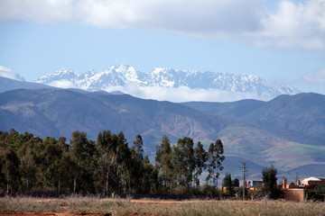 Atlas mountains with trees