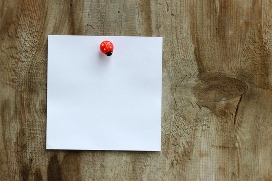angepinnter papierzettel I