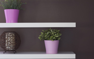 Flower decoration wall boutigue