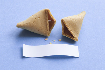 Broken fortune cookie with blank message