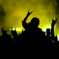 concert. contour of the fans