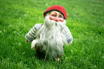 Selbstklebende Fototapeten Gnome standing on the grass © vali_111