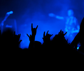 concert. contour of the fans
