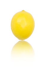 Lemon on a white background