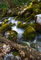 River and rocks