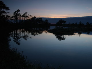 Obraz premium Landscape of Marimetsa bog, Estonia