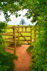 Fototapeta na wymiar wooden gate in countryside