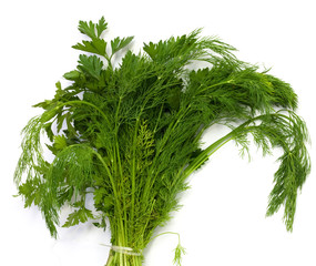 dill and parsley at platw isolated on a white background